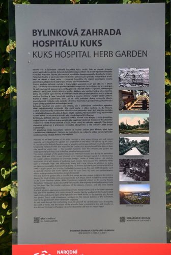 hospital-kuks-zamek-36