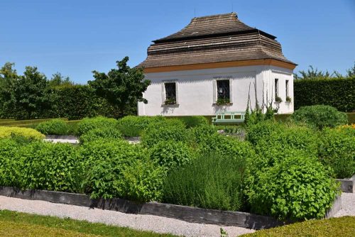 hospital-kuks-zamek-42