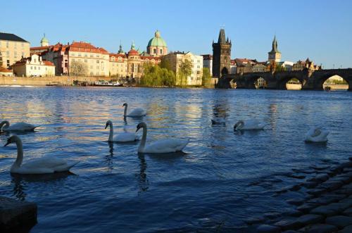 kampa-certovka-vltava-nabrezi-pamatka-praha-47