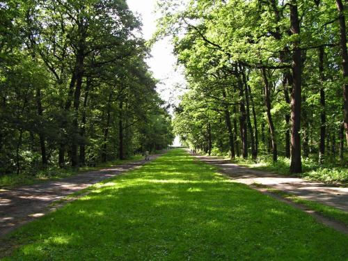 Letohrádek Hvězda