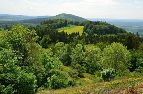 lichnice-hrad-24