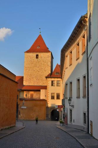 prazsky-hrad-pamatka-v-praze-128