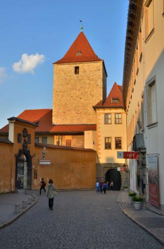 prazsky-hrad-pamatka-v-praze-129