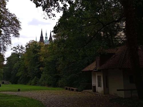 prazsky-hrad-pamatka-v-praze-152