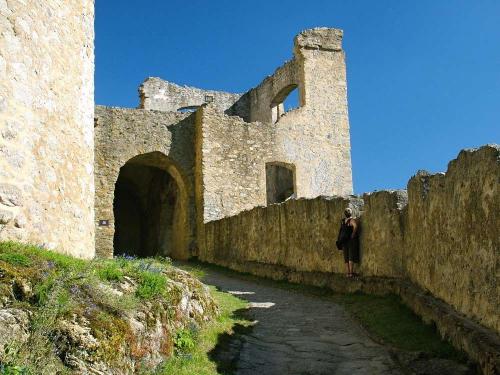 statni-hrad-landstejn-06